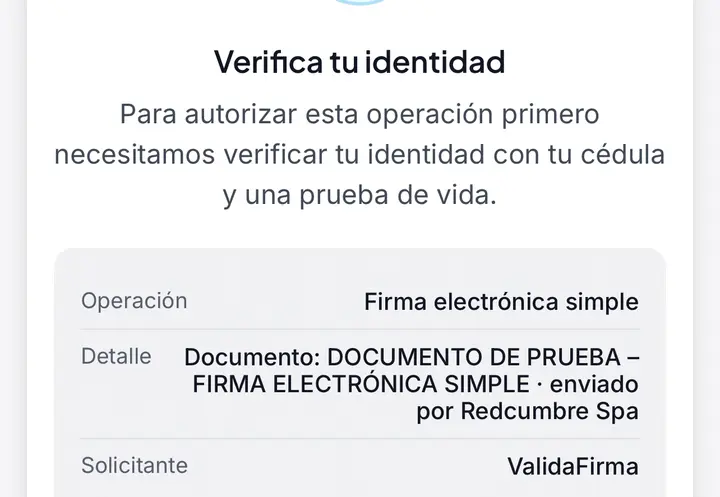 Pantalla de PINRUT, la primera vez: qué se autoriza: la operación, el documento y quién la pide