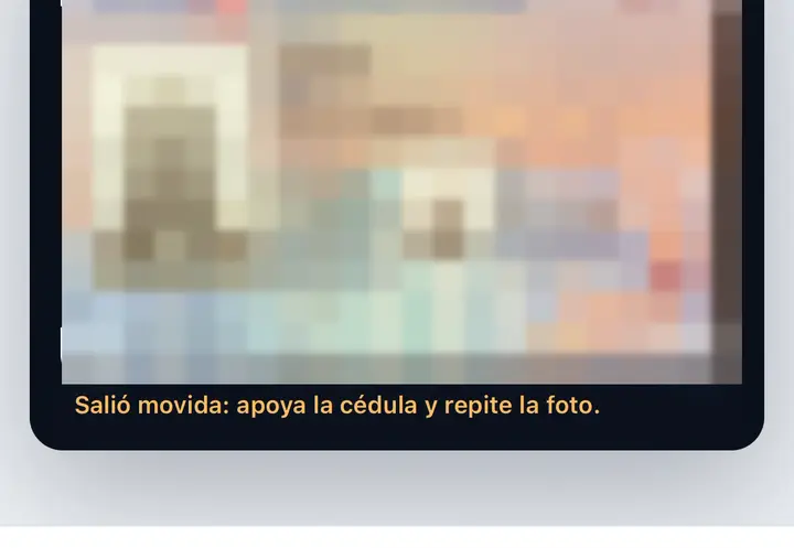 Pantalla de PINRUT, la primera vez: frente de la cédula: si salió movida, se repite ahí mismo