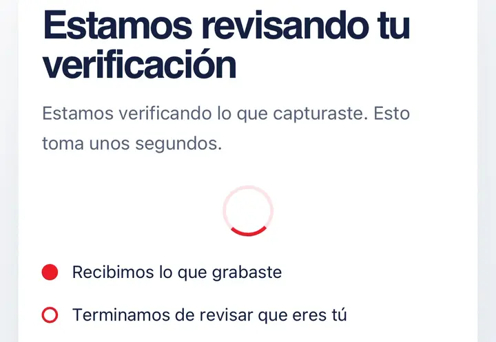 Pantalla de PINRUT, la primera vez: se revisa, y se puede pedir que lo revise una persona